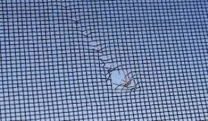 Screen Repair Fort Myers